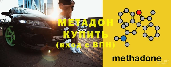 шишки Абаза