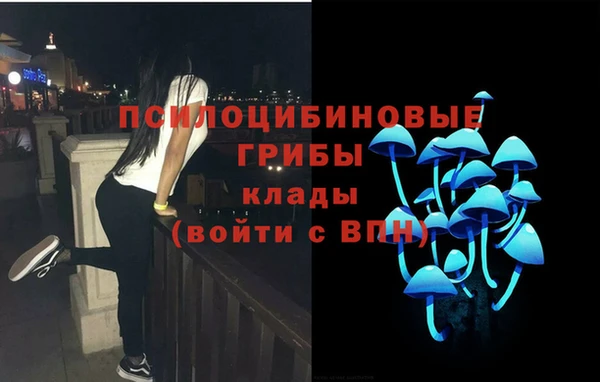 кокс Алзамай