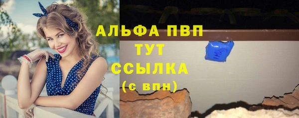 шишки Абаза