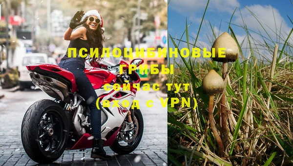 шишки Абаза