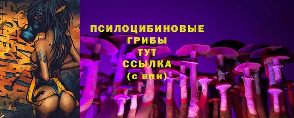 винт Абинск